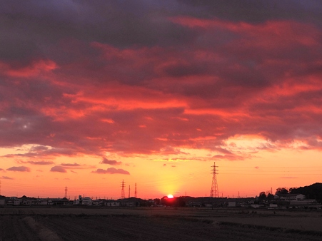 夕陽