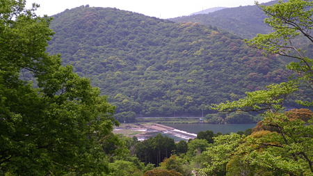 IMGP4814