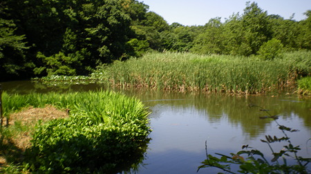 IMGP5590
