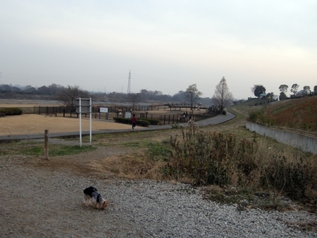 DSCN1394