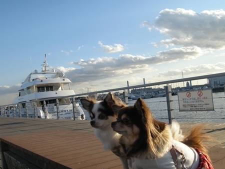 DSCN1590