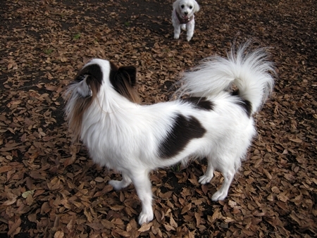 DSCN1215