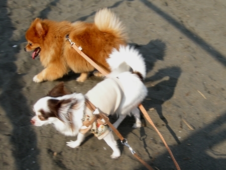 DSCN1083