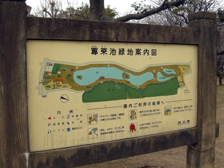 DSCN1981