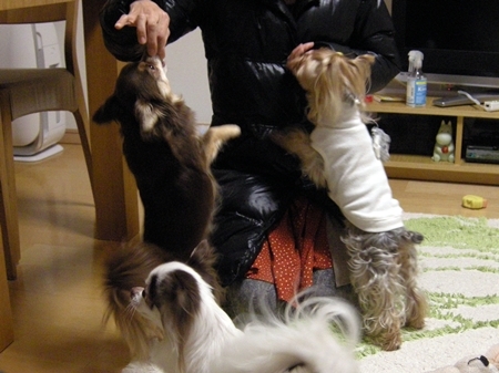 DSCN2189