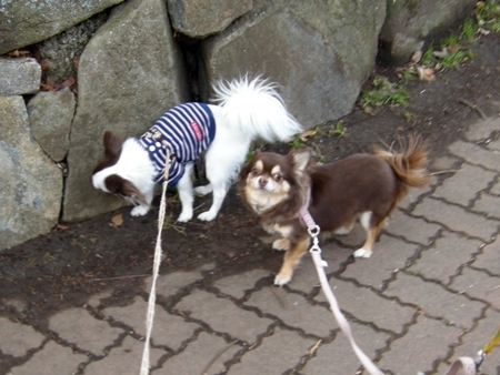 DSCN0191