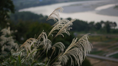 DSC00765