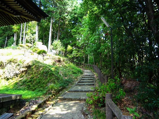 郡上八幡城への道