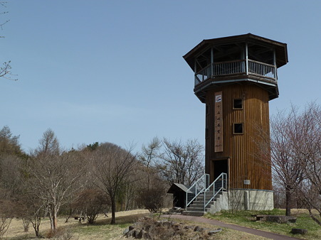2011甲信 040
