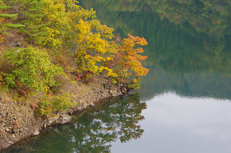 秋深まる荒川ダム
