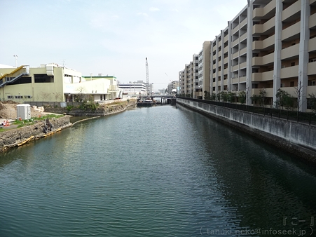120413-港の見える丘公園 (58)