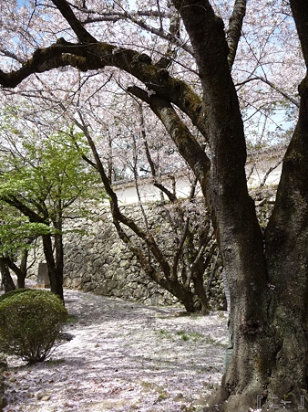 110417-姫路城 (185)