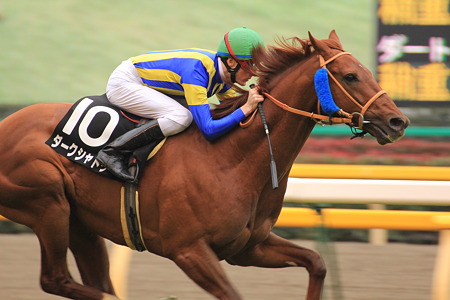 9R勝ち馬 ダークシャドウ(ベリー)