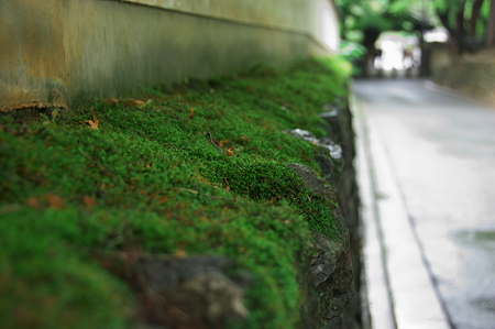 東福寺