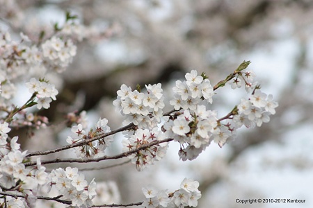 Blog_20120430_Morning_and_Parts_01