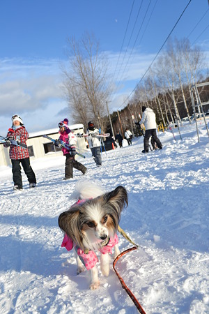 2012jan03 (62)