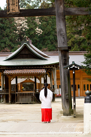 穂高神社 EOS7D EF50 F1.4