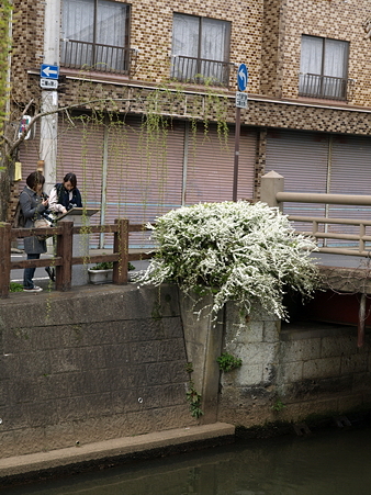 佐原散策21