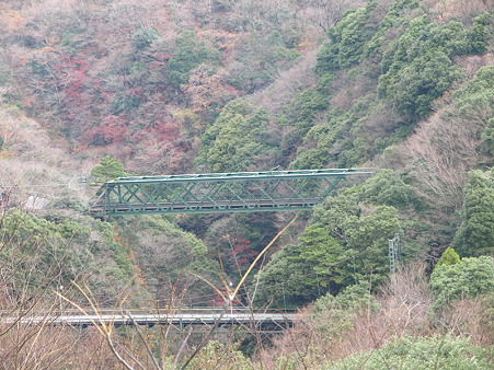 箱根登山電車の車窓(塔ノ沢駅→大平台駅)7