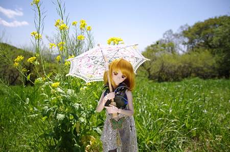 IMGP8816