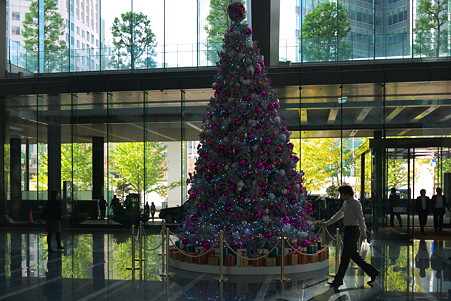 2011.11.30 汐留 Hotel Villa Fontaine SHIODOME ツリー