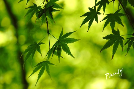 green..2