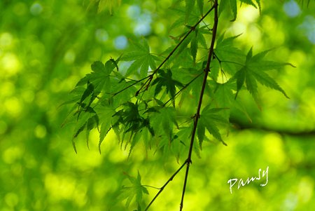 green..3