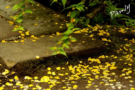 海蔵寺・・14