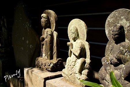 百観音・・ 長月の円覚寺にて・・9