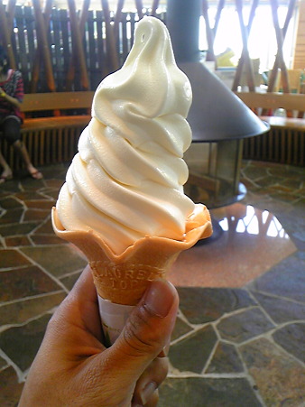 DVC00158