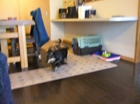 一緒に走り出した~~