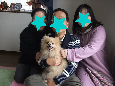 こてつに家族が出来ました!