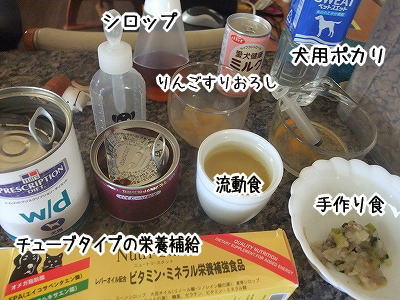 用意万端!