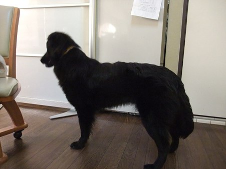 ちょっとだけ