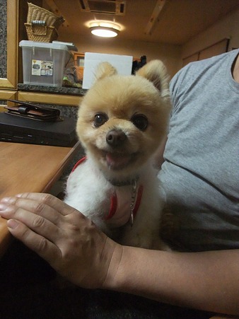 かんちゃん、よく頑張りました!