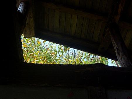 P1060509
