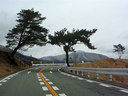 DSCN0484