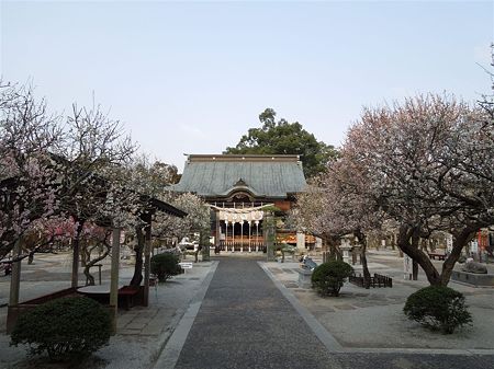 DSCN0882