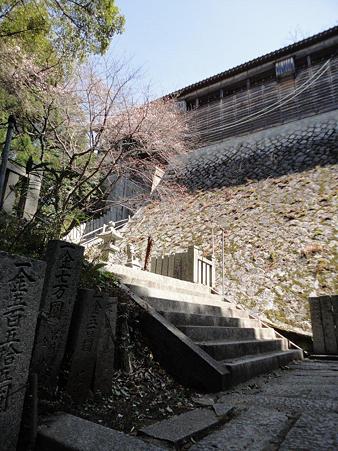 DSC02517