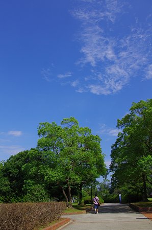 IMGP2811