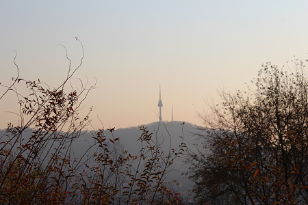 画像 367