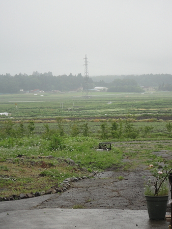 雨に煙る…
