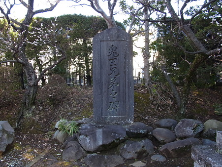 R0011681