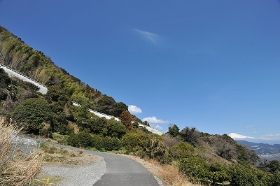 さった峠上高台6