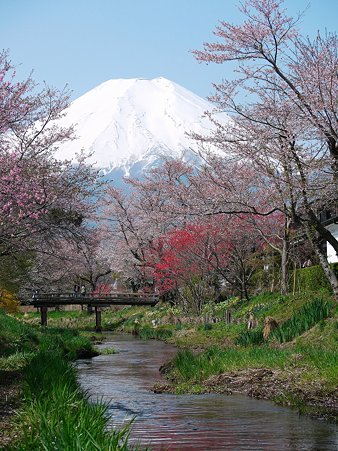 富士山＠忍野