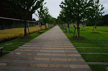 1106221051_DSC_1088