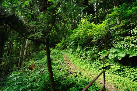 1106230910_DSC_1803
