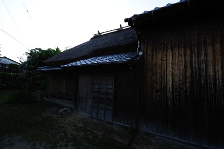 1106231757_DSC_2686
