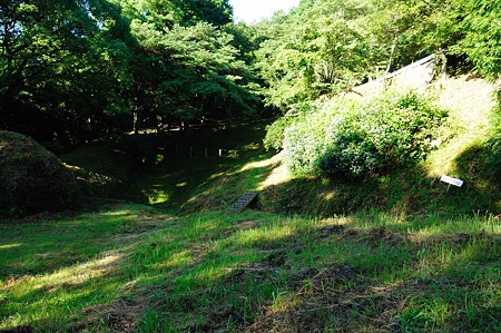 1107120718_DSC_5358