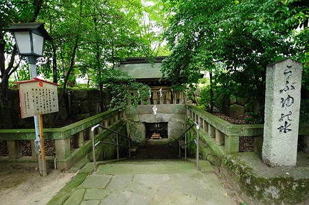 1107121246_DSC_3120